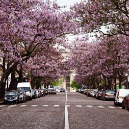 avenue carnot, paris 14 may 2010